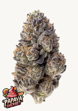 Papaya Sherbet