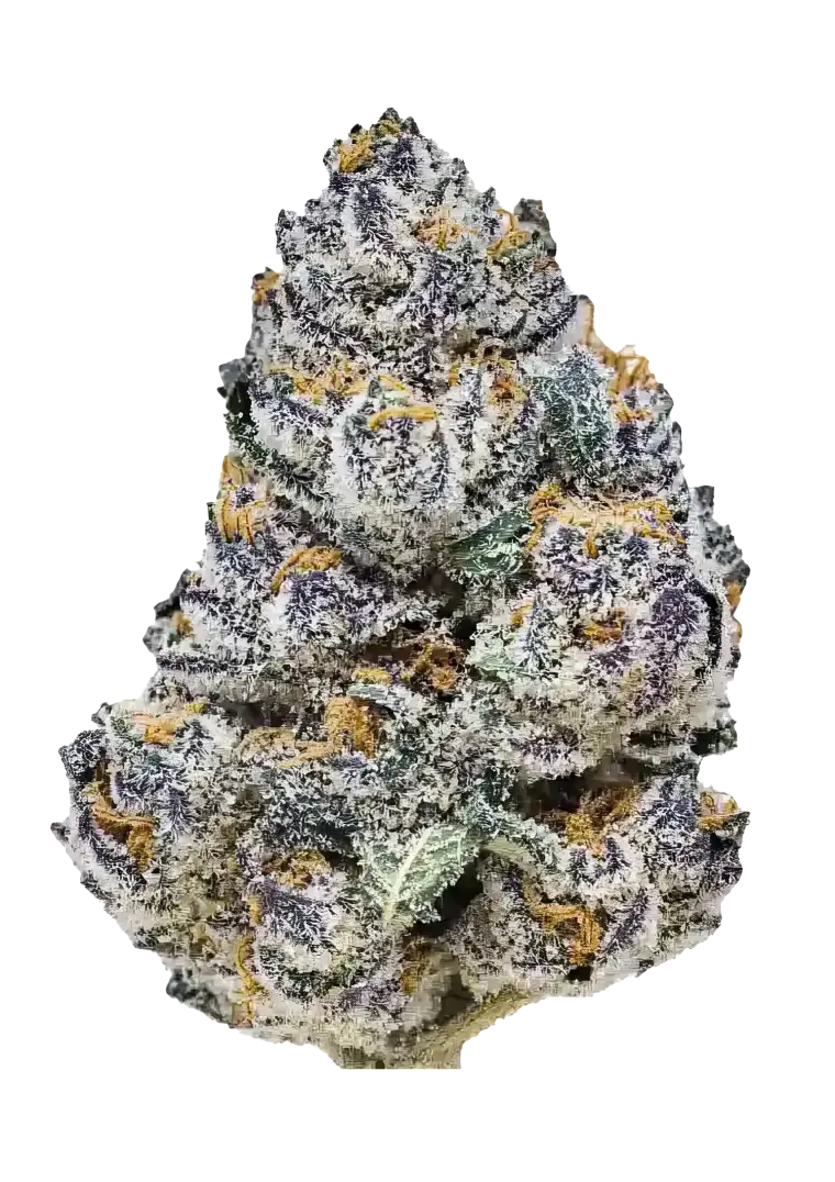 Rainbow Melon