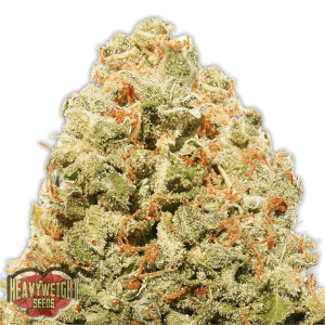 Strawberry Cake