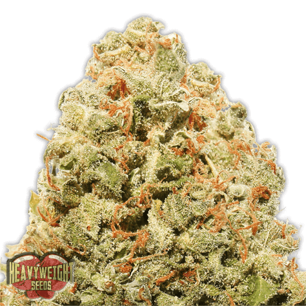 Strawberry Cake