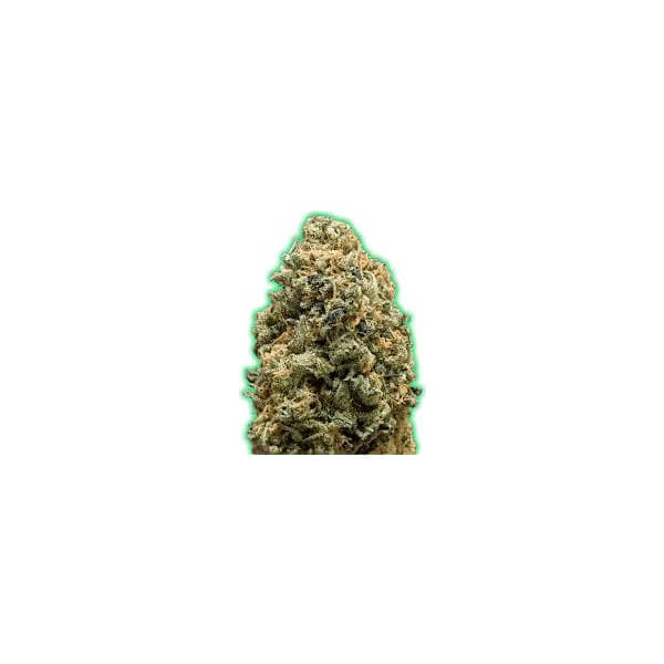 Monster Bruce Banner Auto
