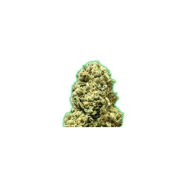 Monster Girl Scout Cookies
