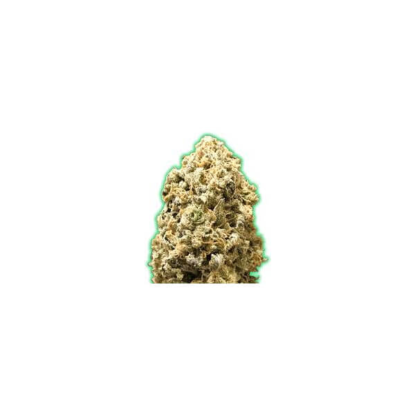 Monster Pebbles