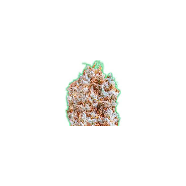 Monster Zkittles