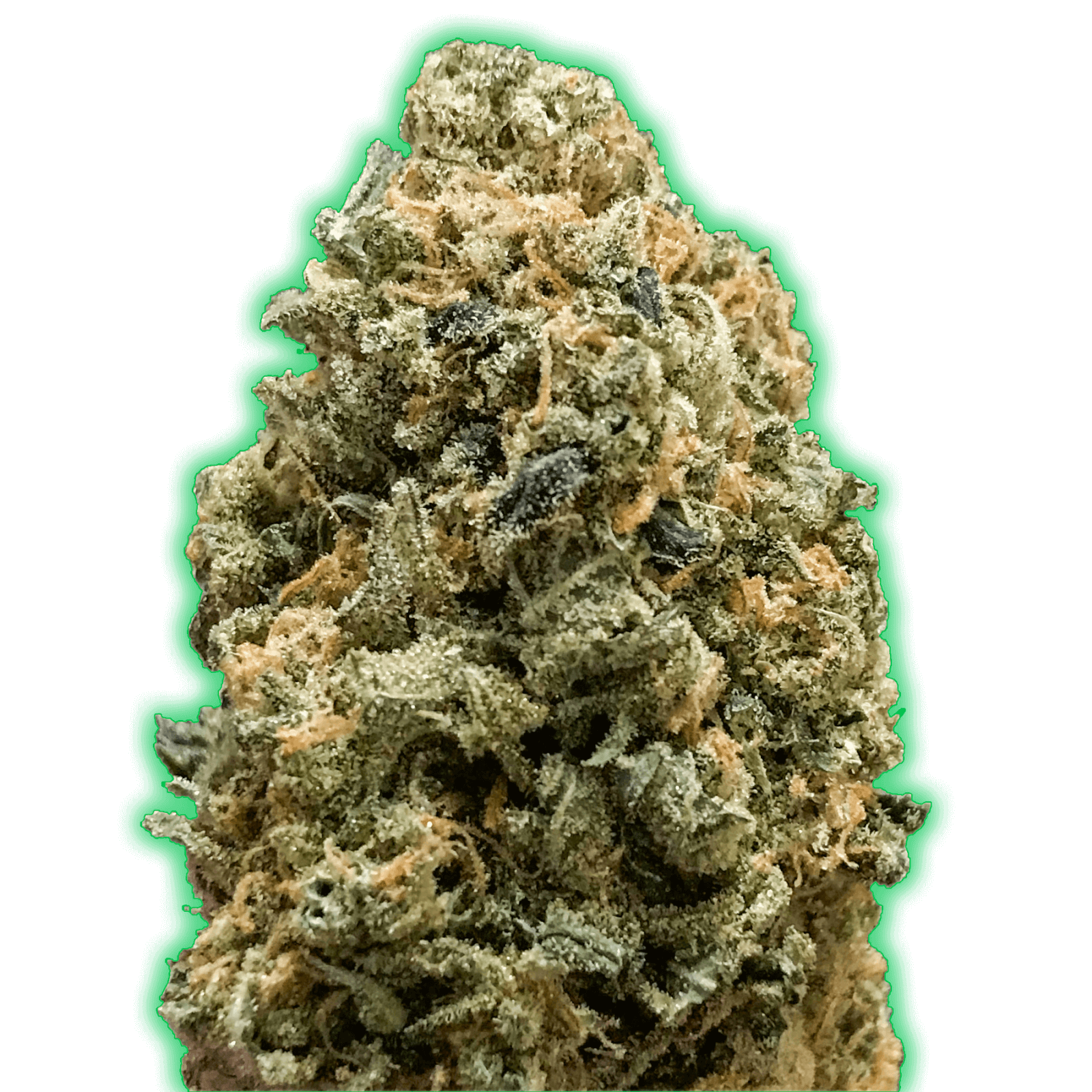 Monster Bruce Banner