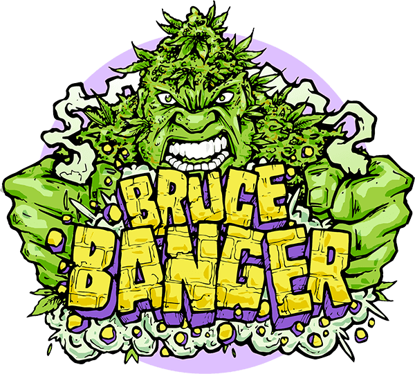 Bruce Banger