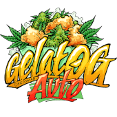 Gelat.Og Auto