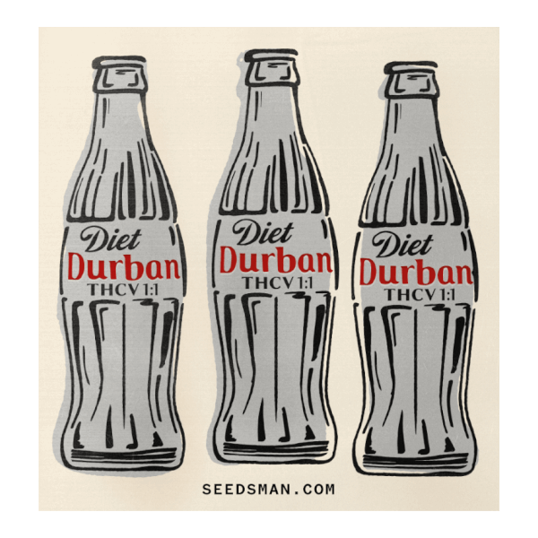 Diet Durban THCV 1:1