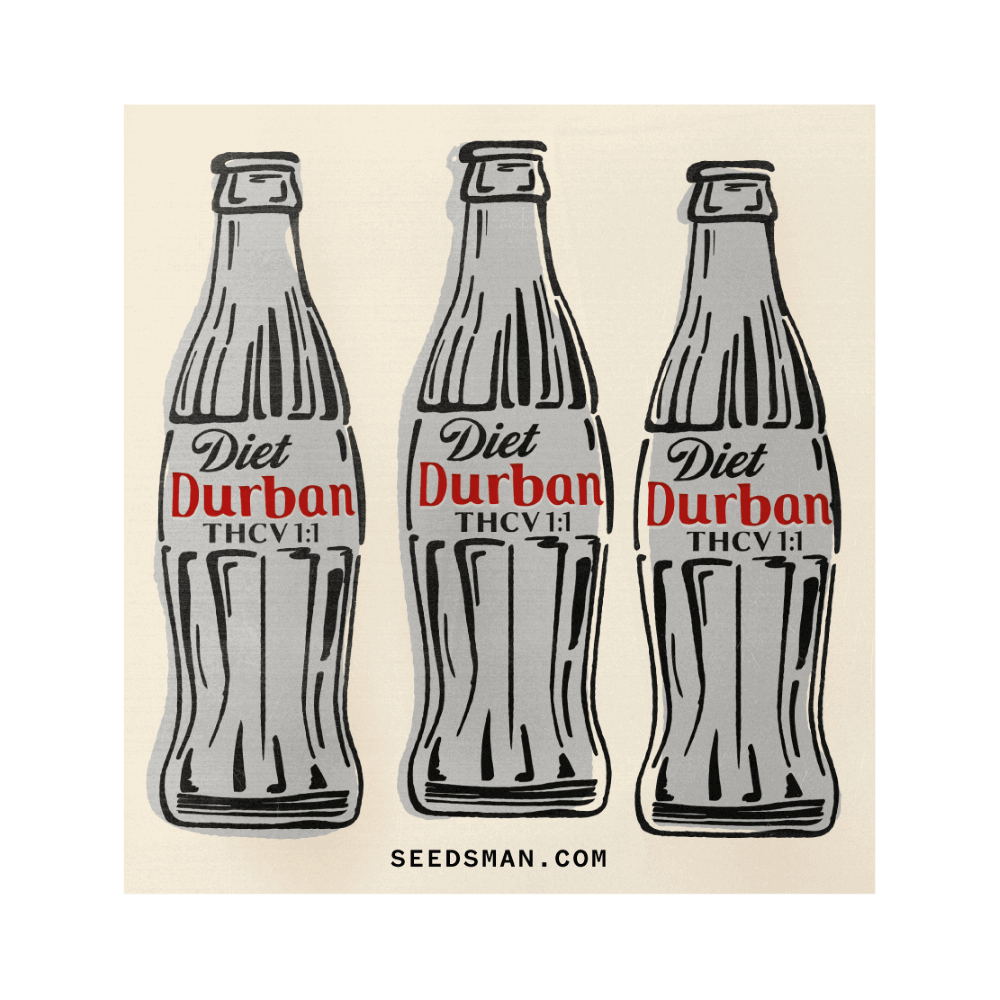 Diet Durban THCV 1:1