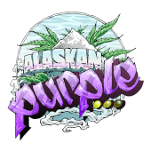Alaskan Purple