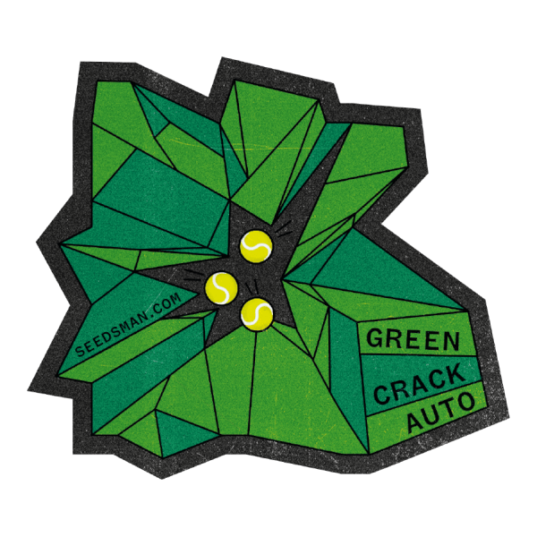 Green Crack Auto