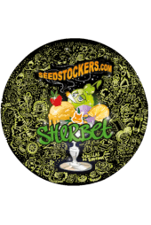 Sherbet