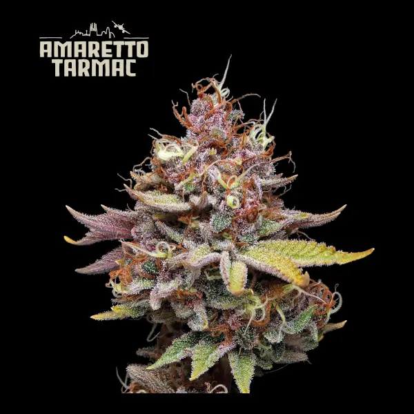 Amaretto Tarmac