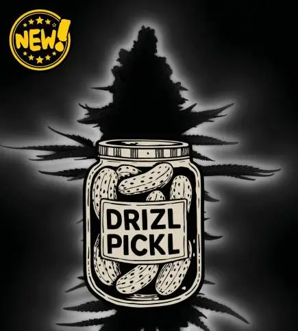 Drizl Pickl Auto