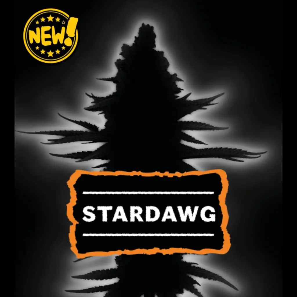 Stardawg Auto