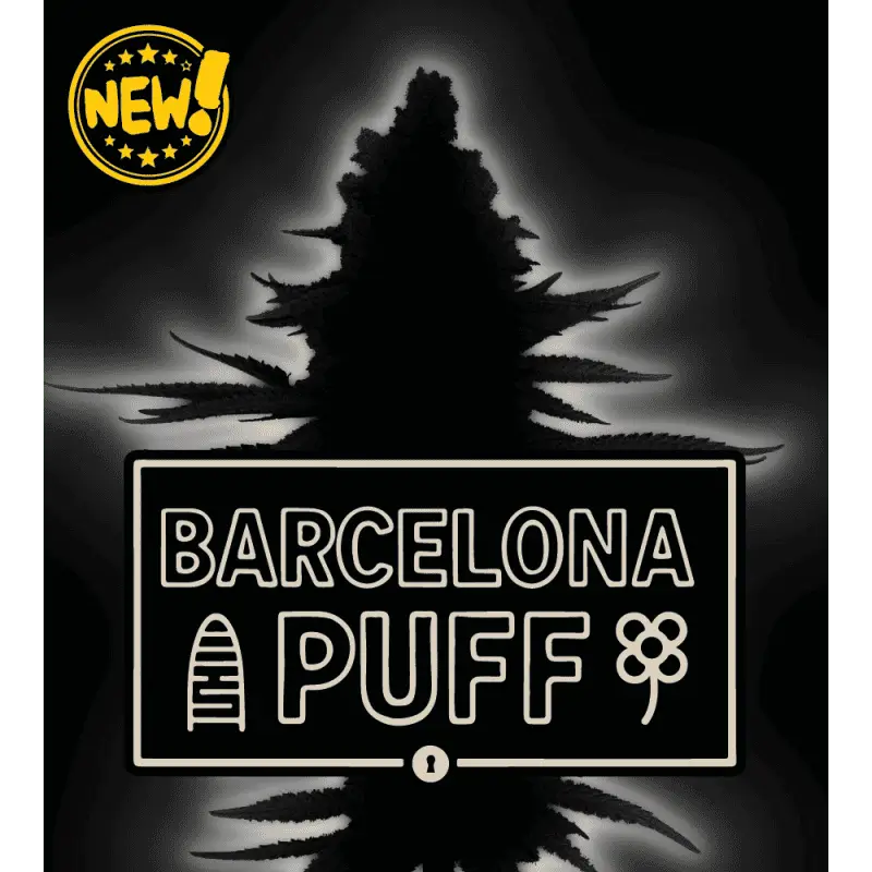Barcelona Puff