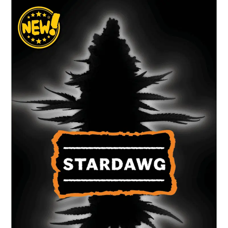 Stardawg