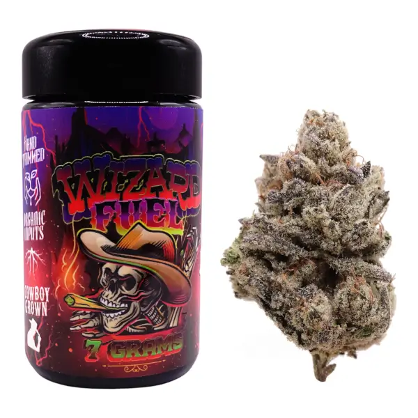 Wizard Fuel