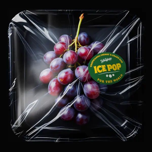 Ice Pop