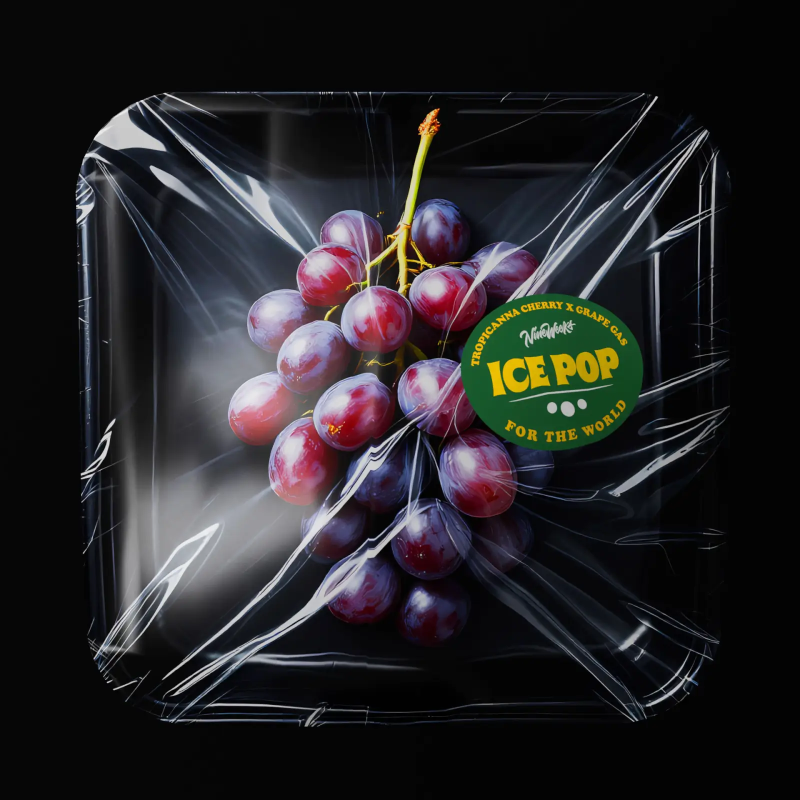 Ice Pop