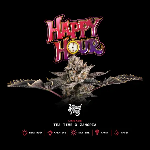 Happy Hour
