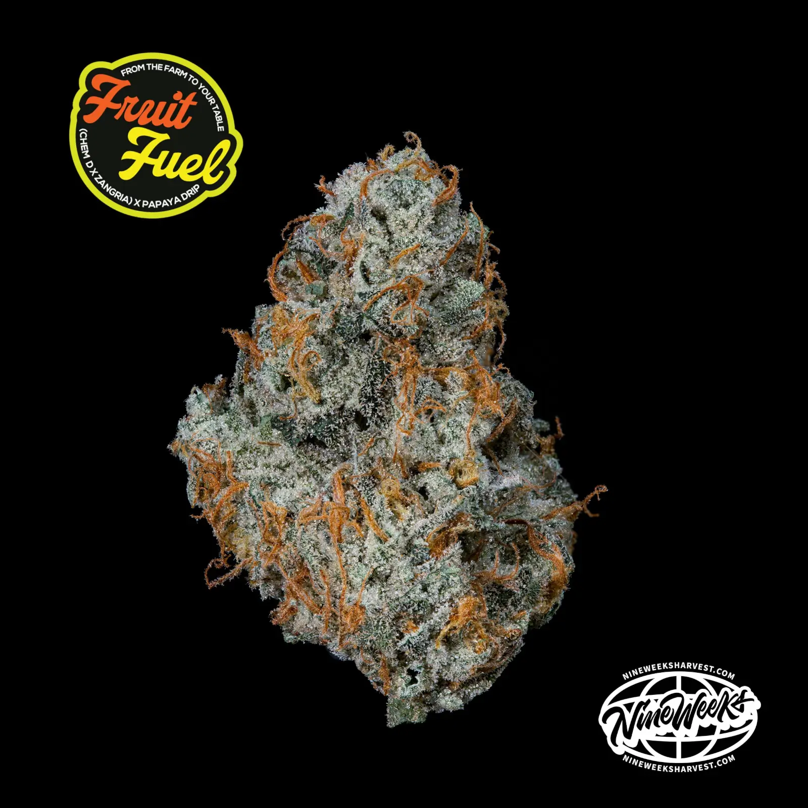 Fruit Fuel