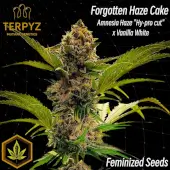 Forgotten Haze Cake aka Amnesia White