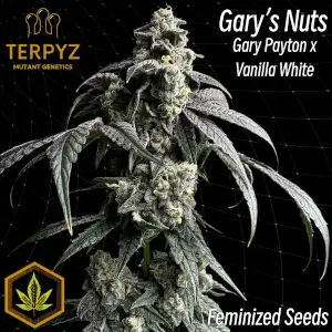 Gary's Nuts