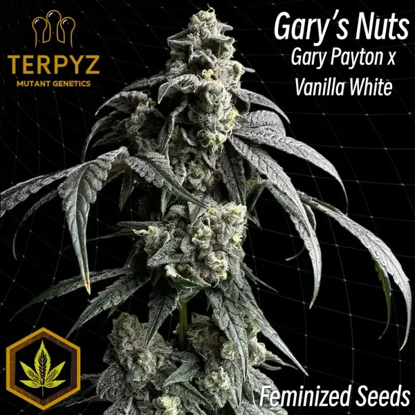Gary's Nuts