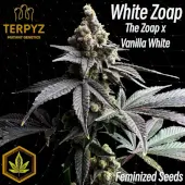 White Zoap