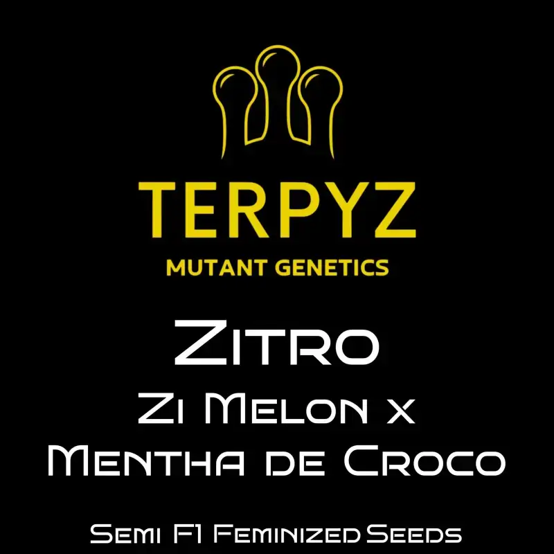 Zitro