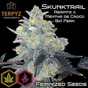 Skunktrail
