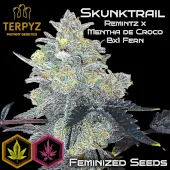 Skunktrail