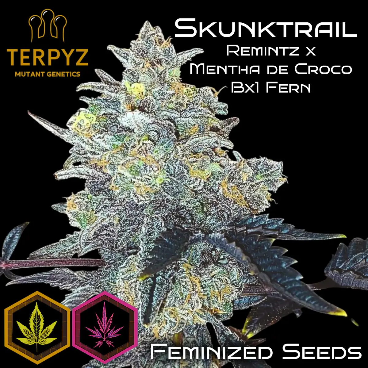 Skunktrail
