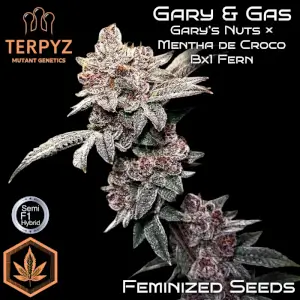 Gary & Gas