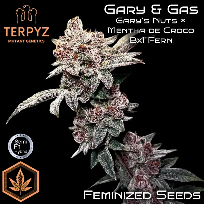 Gary & Gas
