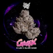 Cauldron