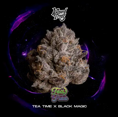 Tea Tree
