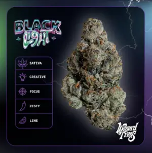 Black Light