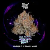 Black Light