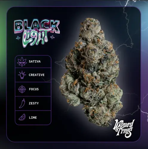 Black Light