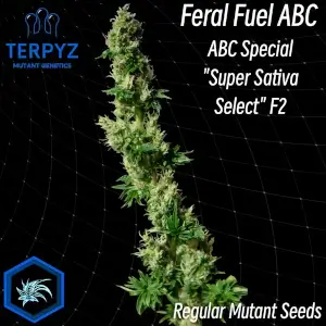 Feral Fuel
