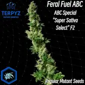 Feral Fuel