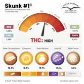 Skunk #1