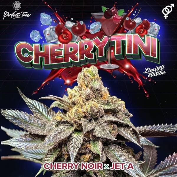Cherrytini