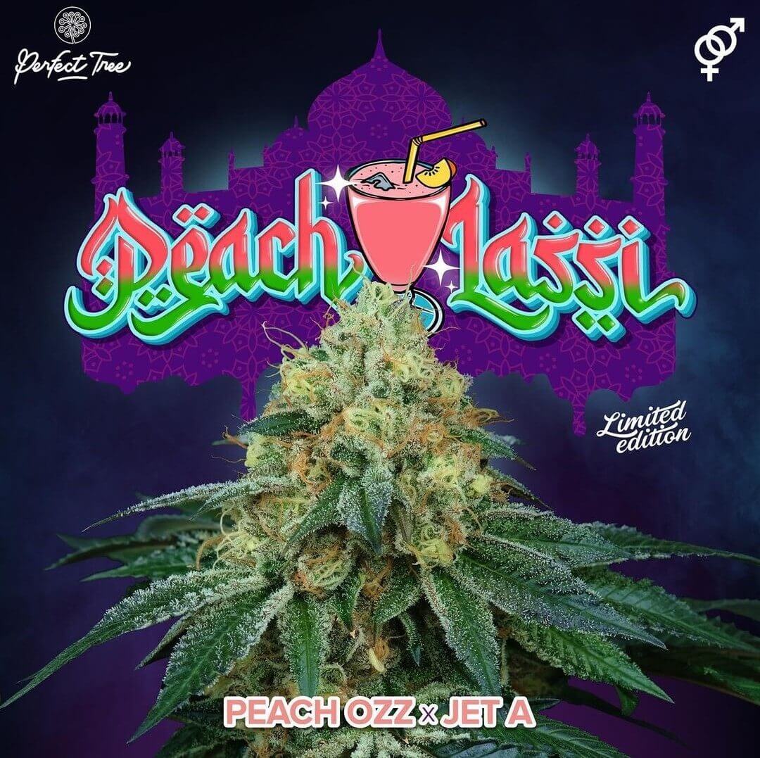 Peach Lassi