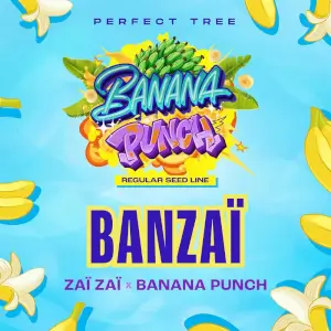 Banzaï