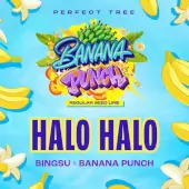 Halo Halo