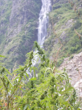 Nepal Annapurna