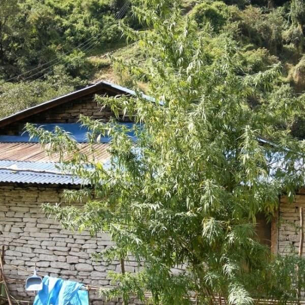 Nepal Annapurna